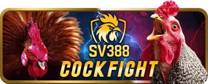 Chính sách quyền riêng tư net88 code